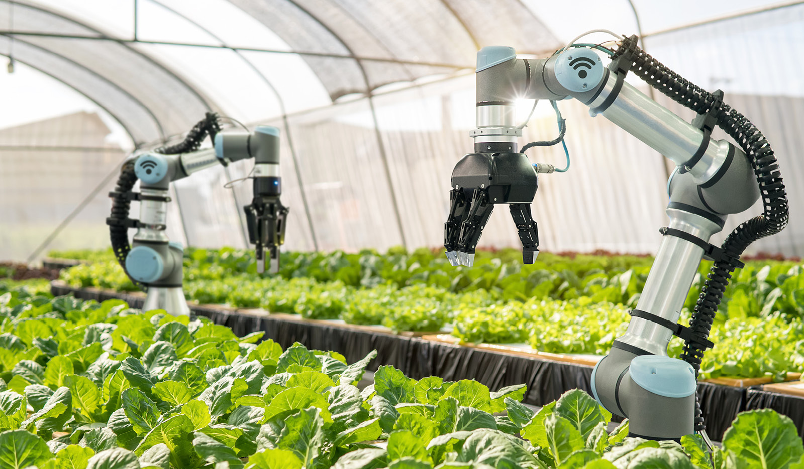 Smart Farming Project